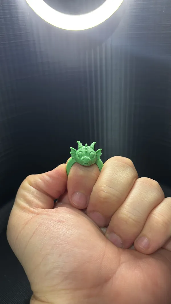 https://makerworld.bblmw.com/makerworld/model/USf8a836a899f5d/design/2024-12-12_10fe3b0898942.jpg