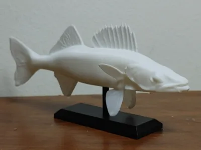 Walleye Fish Mount 2