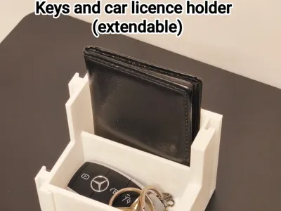 Car key holder with licence organizer