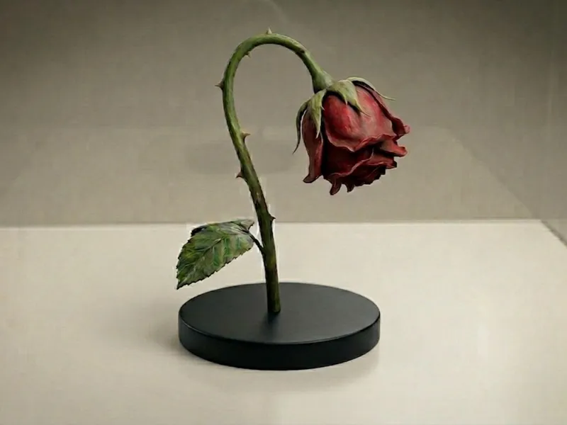 Wilted Rose