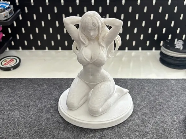 https://makerworld.bblmw.com/makerworld/model/USf8b3e0c11035a0/design/731ceffa7fe66e84.png
