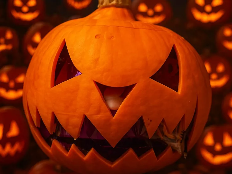 Halloween Kürbisschüssel