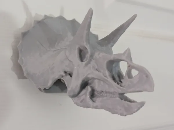 https://makerworld.bblmw.com/makerworld/model/USf8b565d285bf36/design/2025-07-13_b9a47fc88c7138.jpg