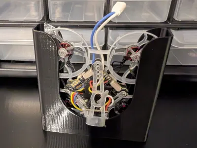 Tiny Whoop Caddy