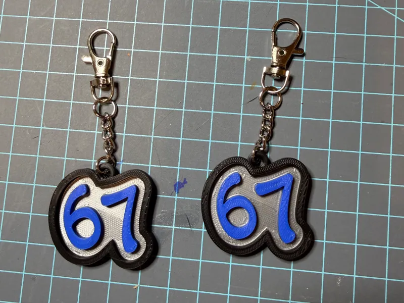 6 7 Bag Tag