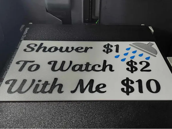 https://makerworld.bblmw.com/makerworld/model/USf8bd5551d24e74/design/2025-02-08_e5b78dd960449.jpg