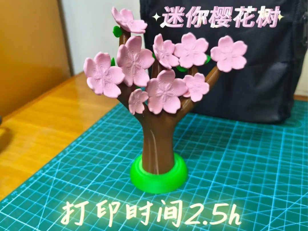 迷你樱花树