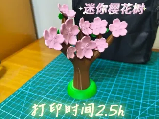 迷你樱花树