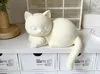 Kitten tucking paws