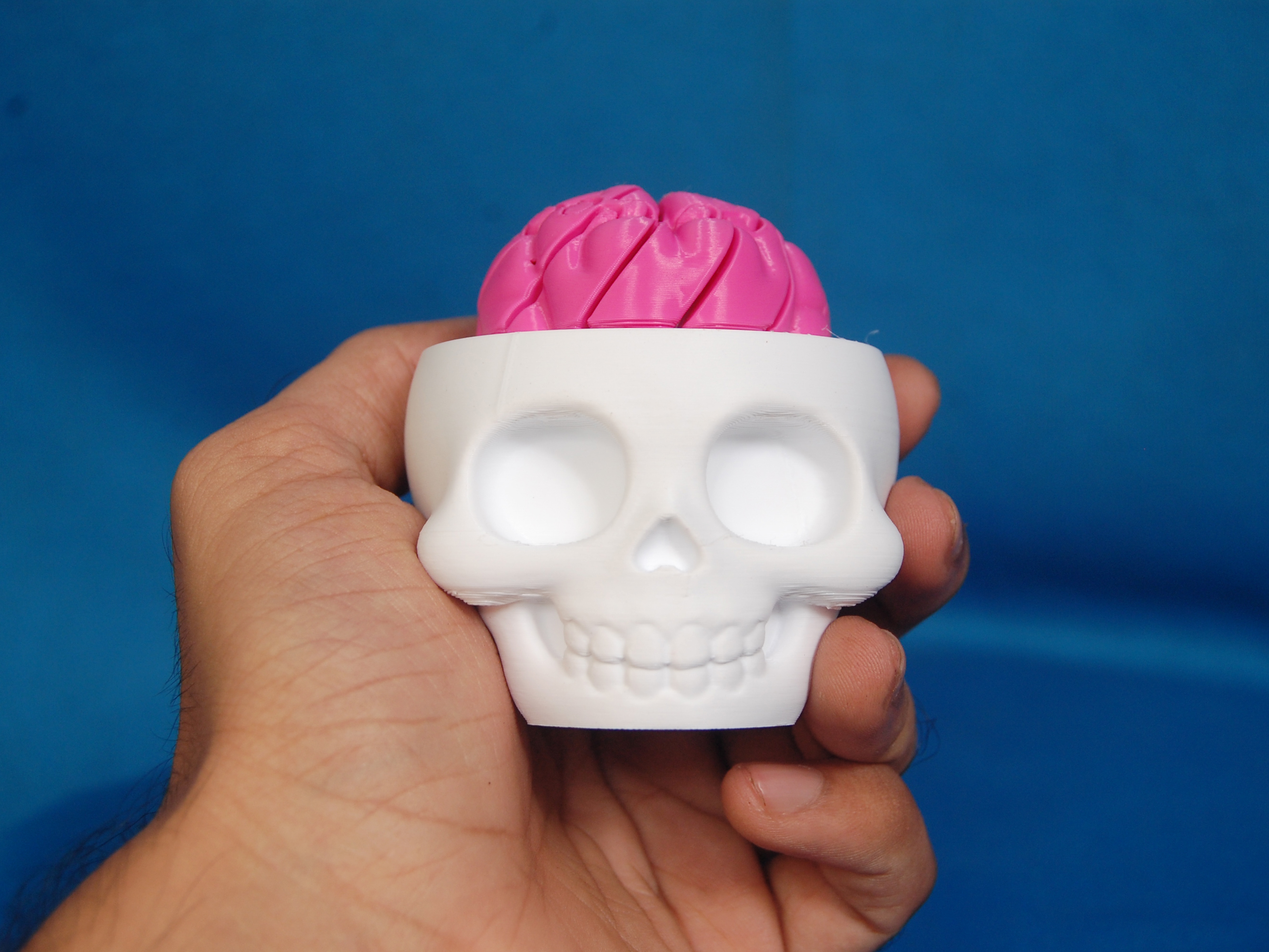 Twisty Brain Skull – Halloween Fidget Toy - 1