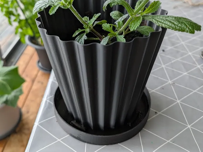 Spral vase pot