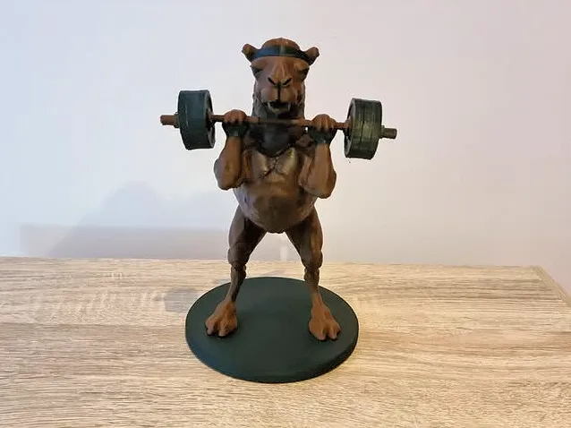 Camel Lifting Weights