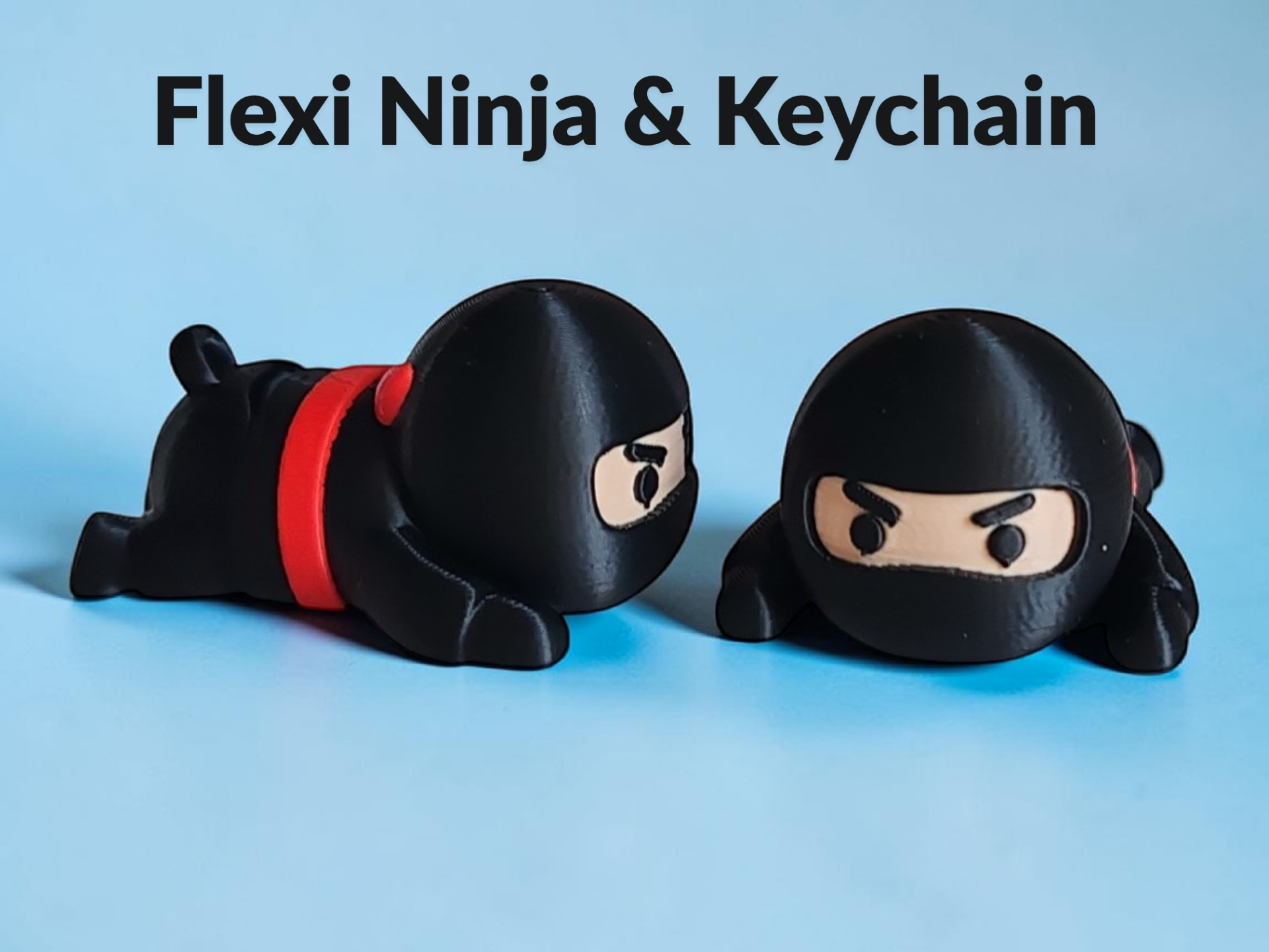 Miniatura 1 do modelo 3D Flexi Ninja & Keychain