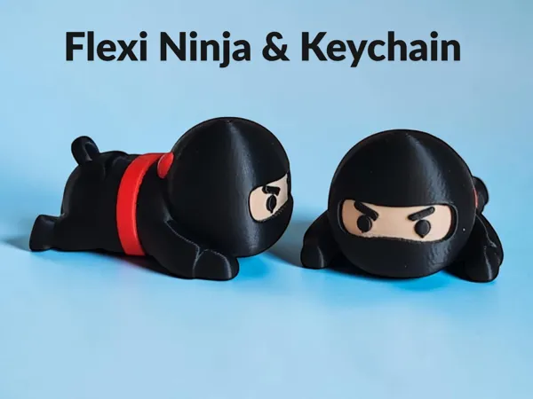 https://makerworld.bblmw.com/makerworld/model/USf8d2adf60dcc66/design/f73edd80ce44e616.png