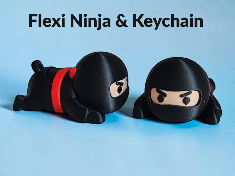 Flexi Ninja & Keychain