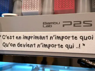 P2S - C'est en imprimant n'importe quoi - DECO