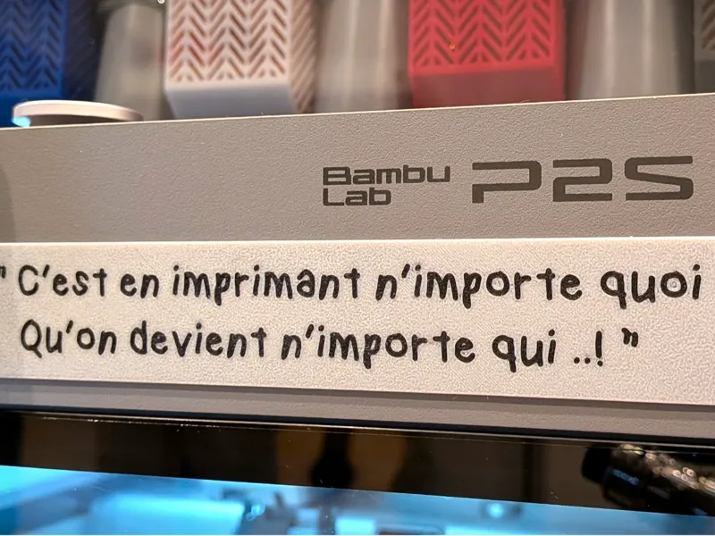 P2S - C'est en imprimant n'importe quoi - DECO