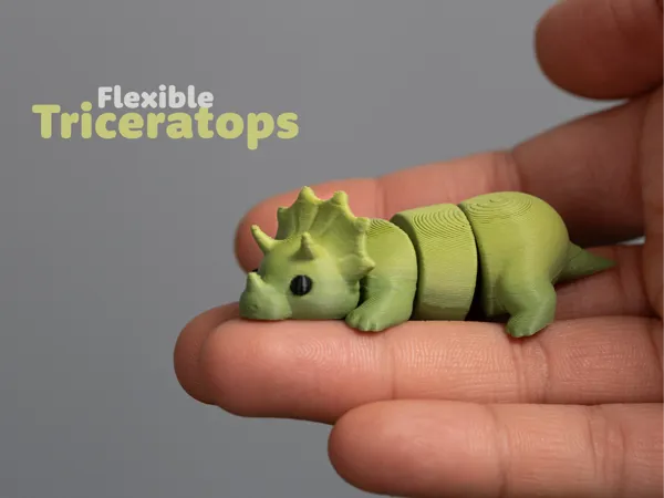 https://makerworld.bblmw.com/makerworld/model/USf8e243a05dc0bc/design/1fba764ce7578d49.jpeg