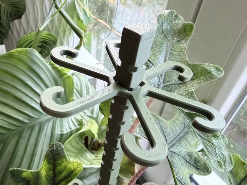 Alocasia verriegelnder Support