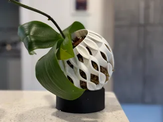 ORBchid Fabulous Orchid Planter