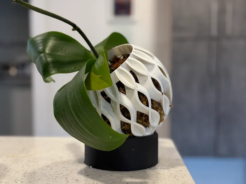 ORBchid Fabulous Orchid Planter 