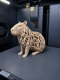 Rootwoven Capybara 50%