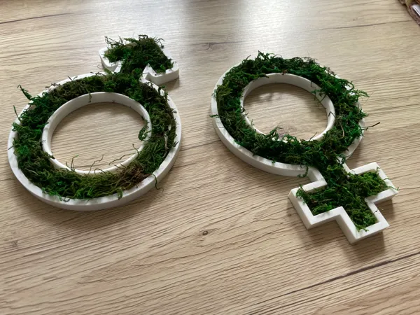 https://makerworld.bblmw.com/makerworld/model/USf8f3537d527692/design/2025-10-09_00109a7db3a328.jpg
