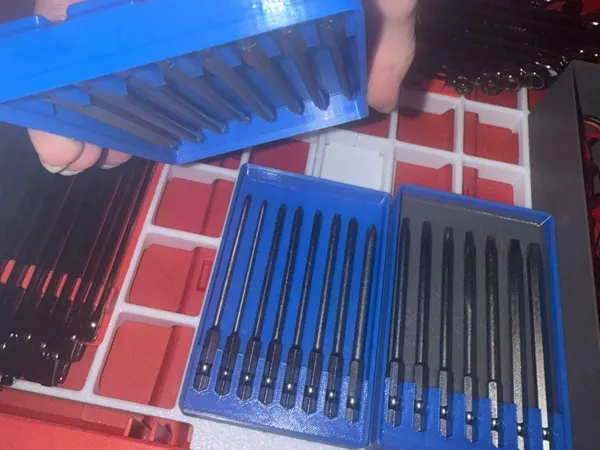 https://makerworld.bblmw.com/makerworld/model/USf8f3fe7b469c29/design/2024-11-26_2d57df29c7ae9.jpg