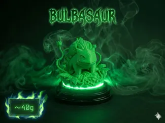 Bulbasaur art