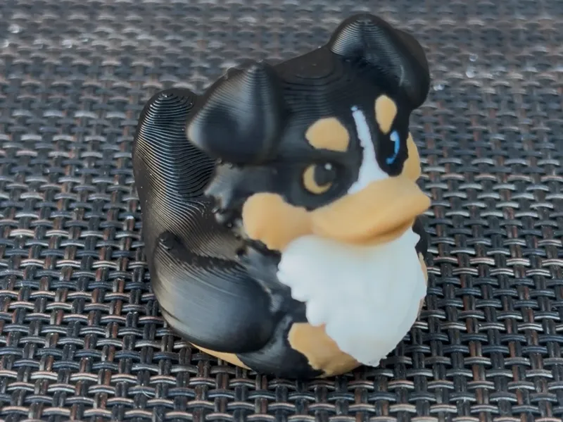 Australian Shepard Duck - Aussie Duck