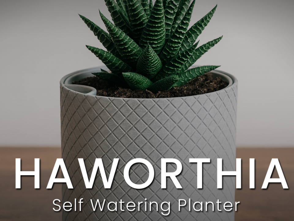Haworthia - Knurled Self-Watering Planter 
