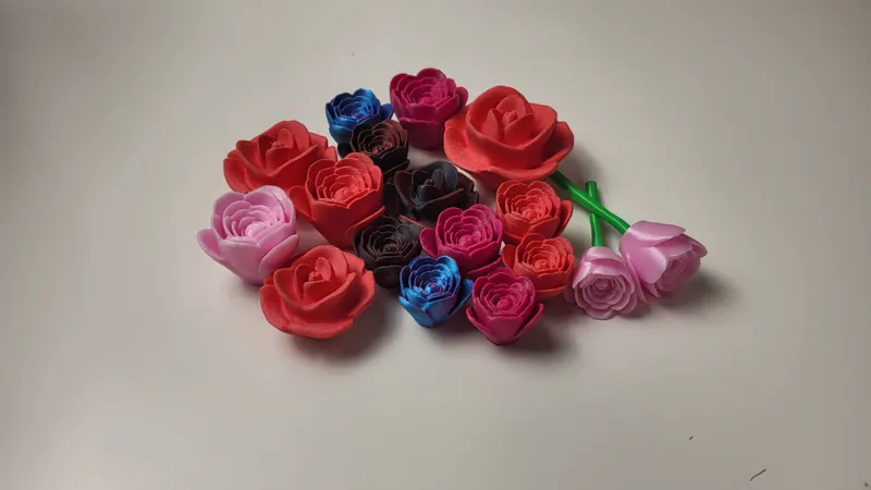Rose