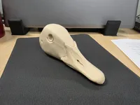 Canada Goose V2