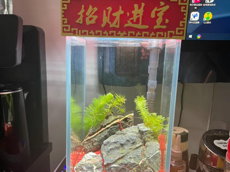 15×15CM方缸装饰套装