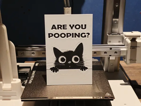 https://makerworld.bblmw.com/makerworld/model/USf900b674b2d404/design/2024-07-17_ad5cdd3a8db51.jpg