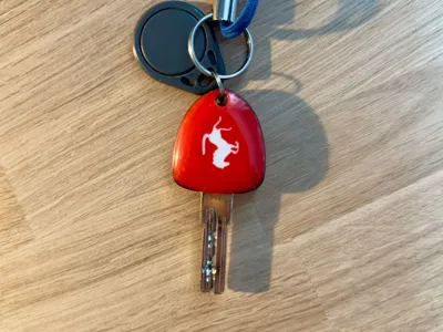 Ferrari dummy key