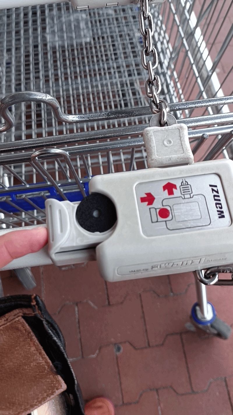 Shopping cart/trolley coin (1gram/10minutes)