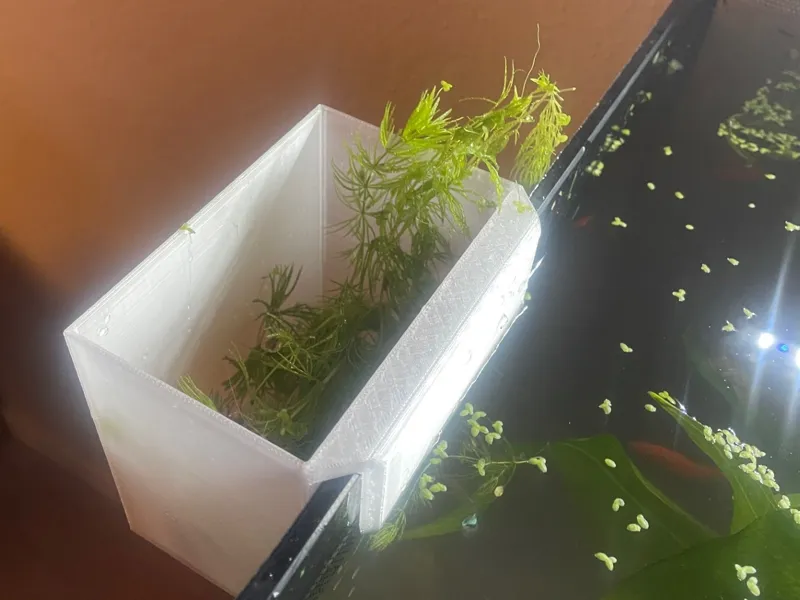 Aquarium Rim Catch & Maintenance Box
