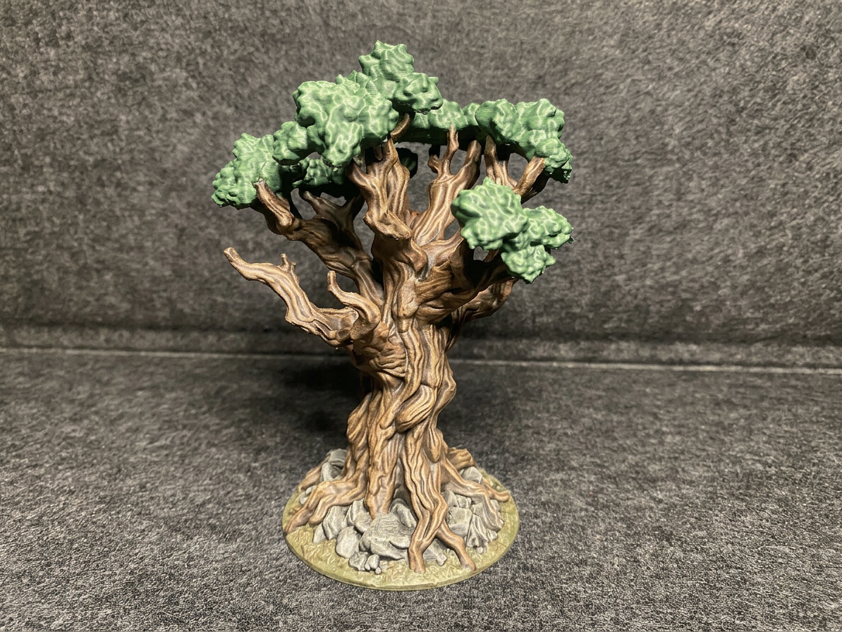 Tree 6