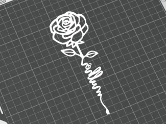 Rose Women Day