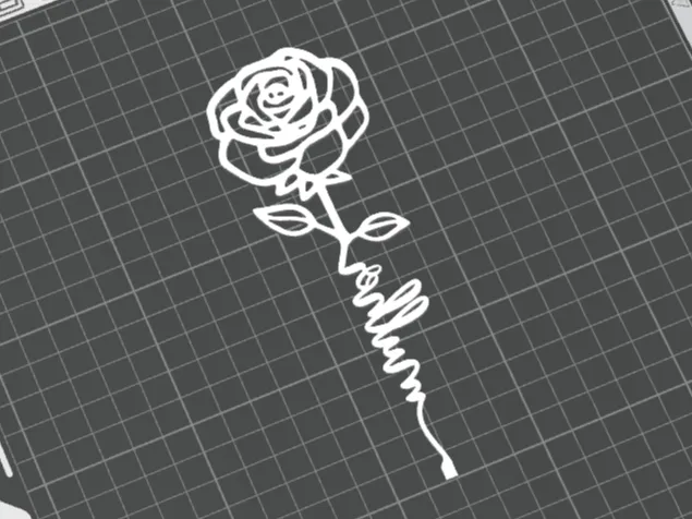 Rose Women Day