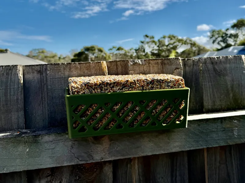 (H2D) Fence Mounted Wild Bird Feeder