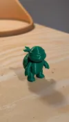 Baby Turtle single color