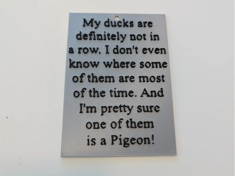 Funny Sign - My ducks are NOT in a row