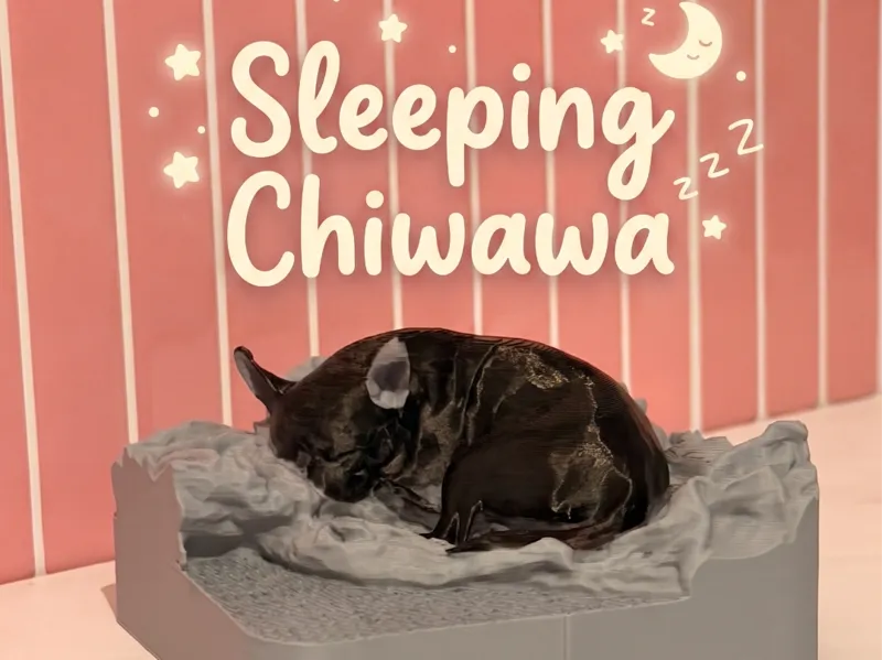 Dog | Sleeping Chihuahua on Cozy Blanket