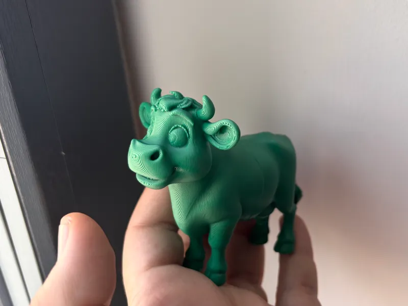 Cute cow