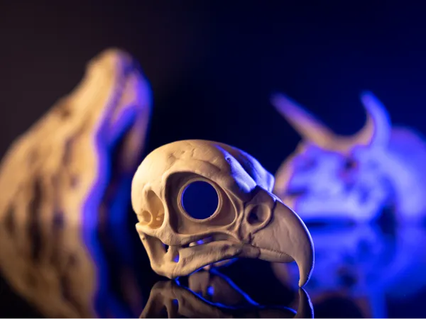 https://makerworld.bblmw.com/makerworld/model/USf9227a0f526e08/design/2025-04-14_cecb29d7f6b09.jpg