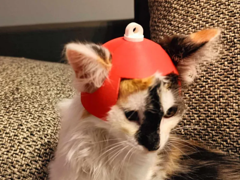 CAT HAT christmas ornament