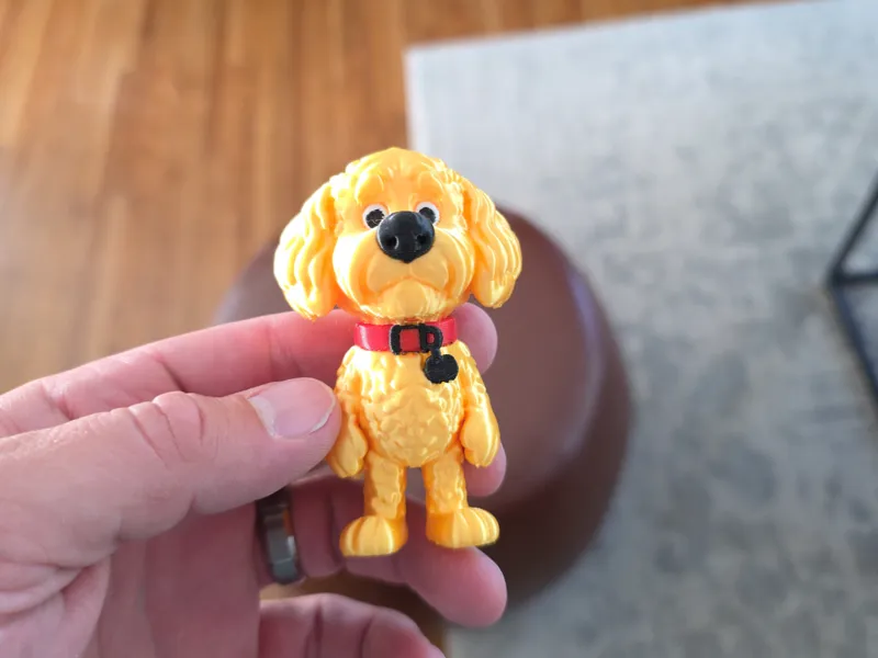 Cartoon Golden Doodle