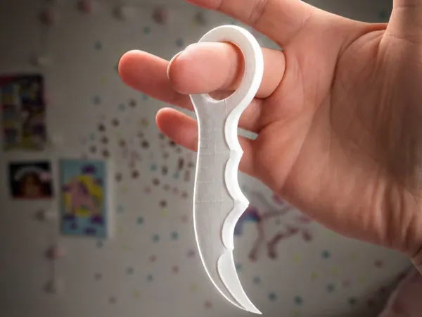 https://makerworld.bblmw.com/makerworld/model/USf924366d120f12/design/dff4fa778fe25172.png